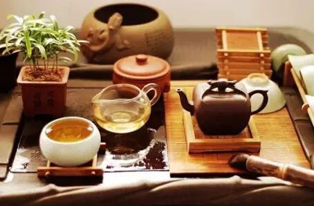 秋天润肺，一杯茶饮轻松实现